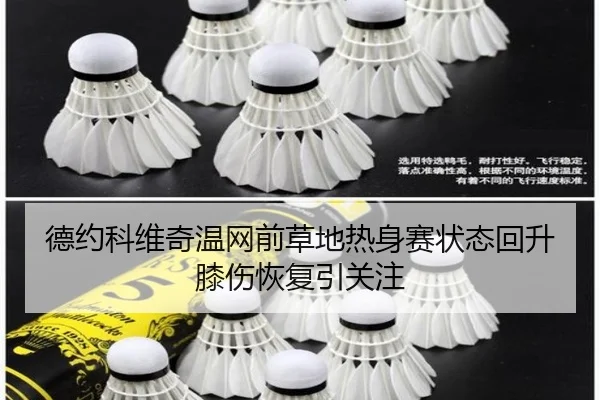 德约科维奇温网前草地热身赛状态回升膝伤恢复引关注